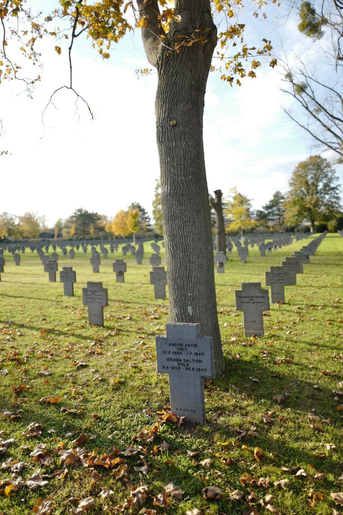 Ein kreuzförmiger Grabstein direkt unter einem Baum steht in einem weiten Feld, das weit gesäumt ist mit gleichartigen Grabsteinen, die alle in Reihe stehen
