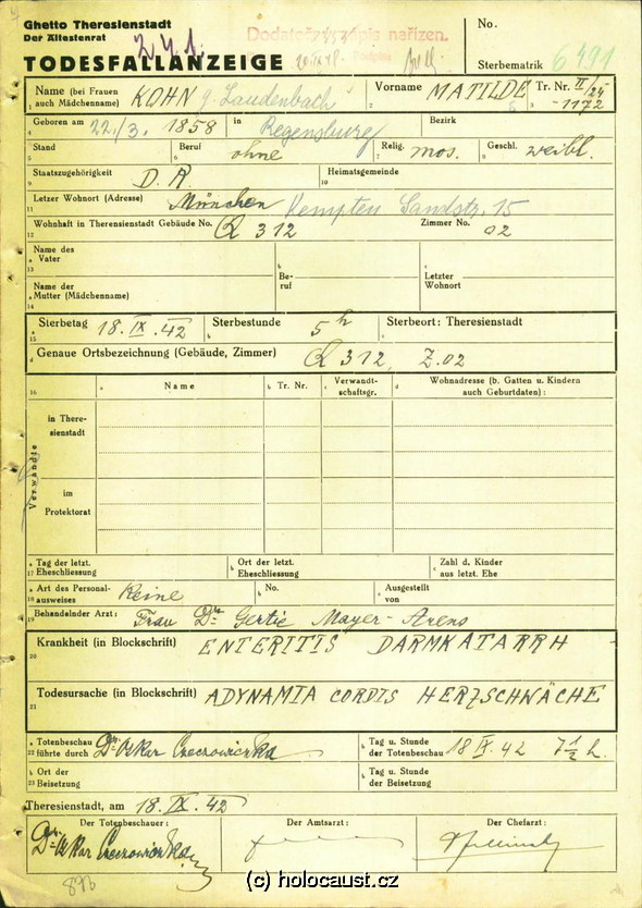 Todesfallanzeige von Mathilde Kohn (geb. Laudenbacher) aus dem Ghetto Theresienstat. Dabei sind persönliche Informationen, vorherrschende Krankheiten und Todesursache gegeben. Diese werden dann mittels Unterschriften von Ärzten bestätigt.